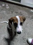 Não tem 