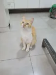 Mel