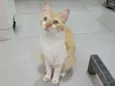 Mel