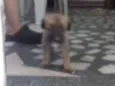 Um