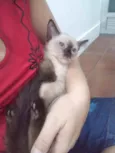 Luizinho