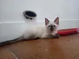 Luizinho