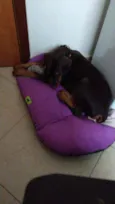 Mel