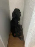 Desconhecido
