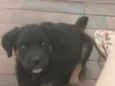Eros