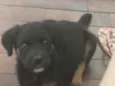 Eros