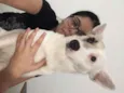 Belinha