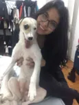 Belinha