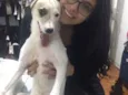 Belinha