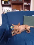 Godofredo
