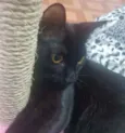 Lua