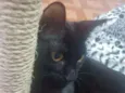 Lua
