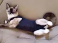 Tina
