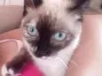 Tina