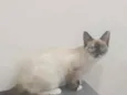 Tina