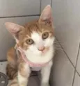 Maiara e Maraisa