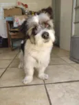 Lucky