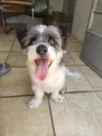 Lucky