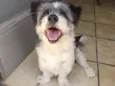 Lucky