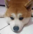 Riki