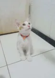 ..
