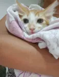 ..
