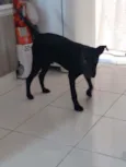 Tequila