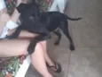 Tequila