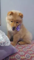 Filo