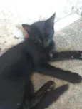 Não sei