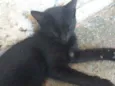 Não sei