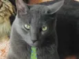 Tom 