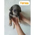 Sem nomes ainda 