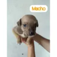 Sem nomes ainda 