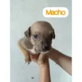 Sem nomes ainda 