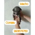 Sem nomes ainda 