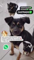 Scooby