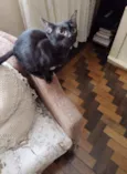 Frida