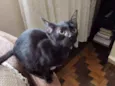 Frida