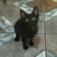 Ninna