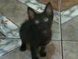 Ninna