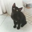 Ninna