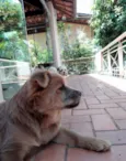 Bastião 
