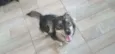 Paco