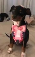 Jenny