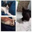 As chamo de bebê