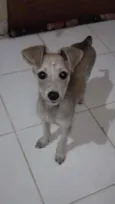 Lola