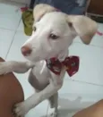 Charlie