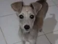 Lola