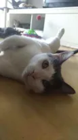 JOHN